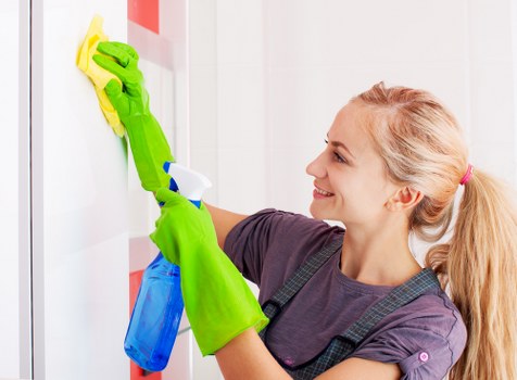 Deep cleaning oven racks, trays and door glass in Bromley
