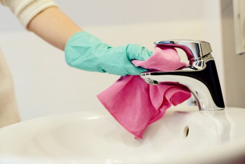 Oven cleaning service with sustainable recycling practices in Bromley