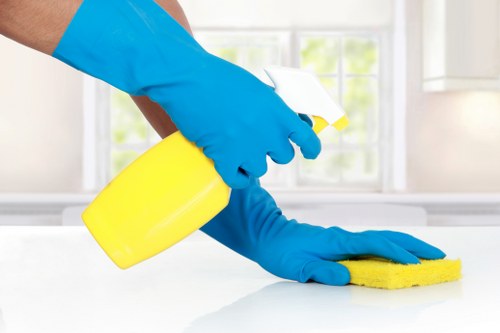 Office cleaner in Bromley business premises