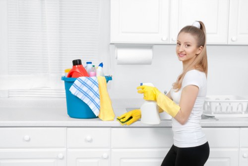 Regular home cleaning service for a flat in Bromley