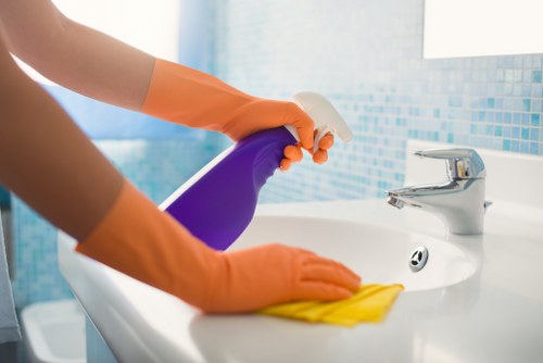 Oven cleaning service in Bromley