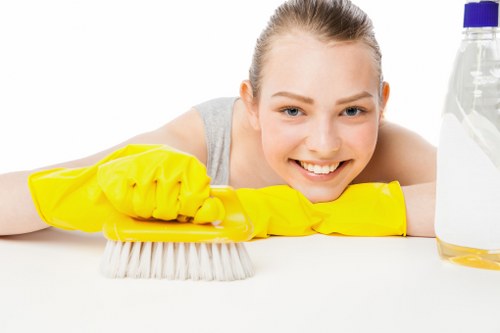 Local domestic cleaning team working in a Bromley house