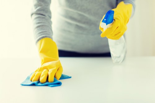 Professional domestic and commercial cleaning in Bromley