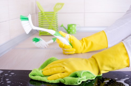 Cleaner treating carpet stains in a Bromley hallway