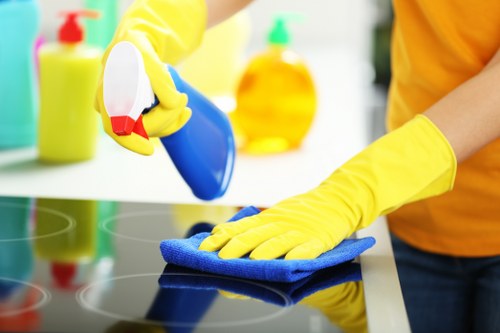Upholstery cleaner working in a Bromley property with care