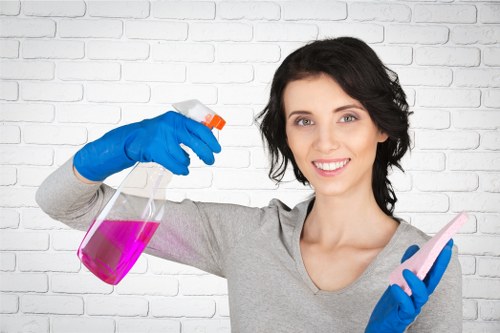 Detailed domestic cleaning tasks in a Bromley property